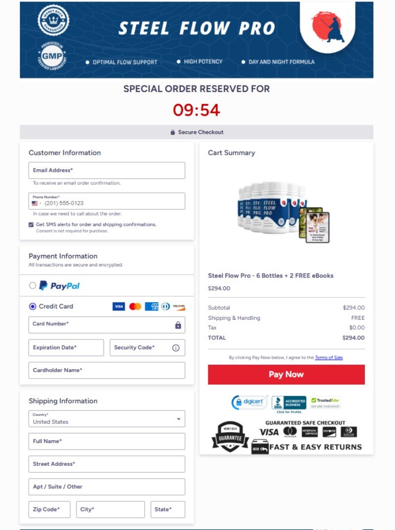 Steel Flow Pro Order and Payment Receipt